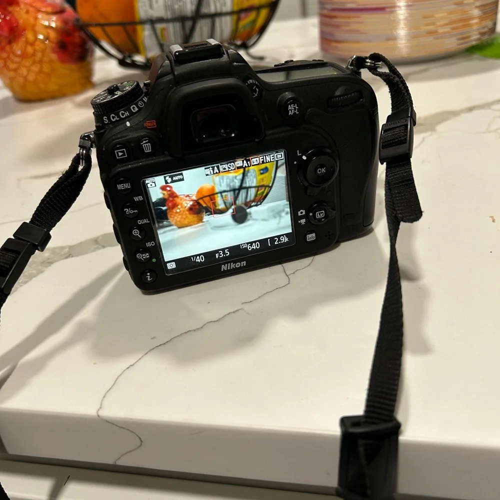 Nikon Black DSLR Camera Body with Rear LCD and Neck Strap